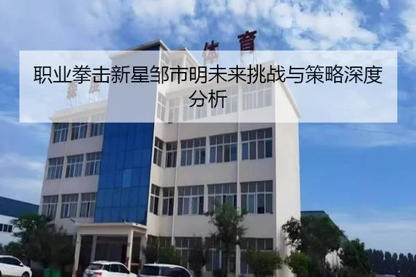 职业拳击新星邹市明未来挑战与策略深度分析